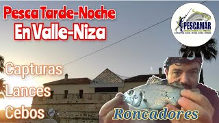 PESCAMAR - (VID42) - Pesca Surfcasting en ValleNiza, capturas, cebos, trucos, lances, duraflot