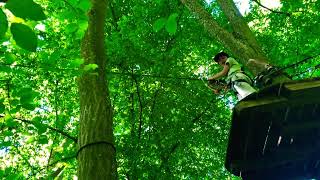 Nerix Tries Again The Big Jump