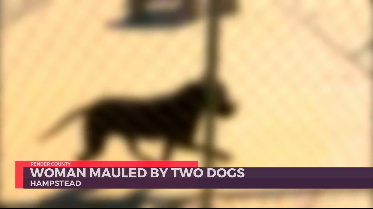 Hampstead woman severely injured after mauled by two dogs - YouTube
