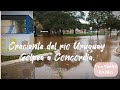 Creciente del ro uruguay en concordia entre ros mayo de 2024