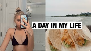 VLOG: a day in my life &amp; what I&#39;m eating at home!