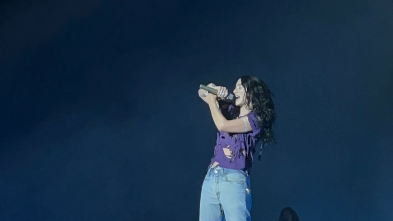 Lorde - Shapeshifter (Live From Lollapalooza Brasil 2026) - YouTube