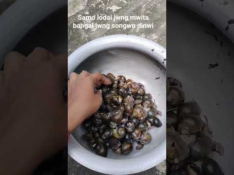 Snail Curry Banakar Kayege Aj Mista Tenga Shaag K Saat Seafood Snail Snailrecipe Food
