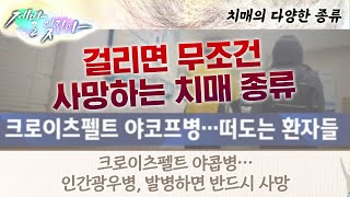 다양한 치매 종류에 따른 증상과 사례  |  인지력 테스트  [제발 잊지마 2회]
