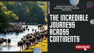 Wildlife Migration: The Incredible Journeys Across Continents