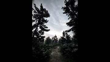 Short forest cinematic animation with TWINMOTION 2023 ( LUMEN ) | Reel 01