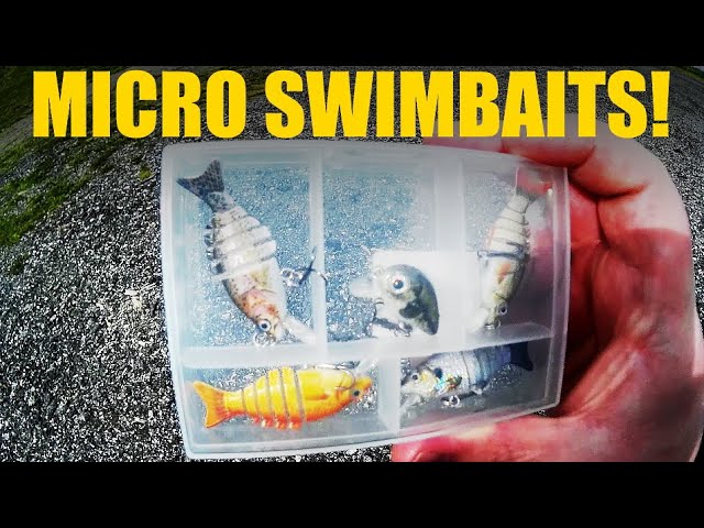 MICRO Swimbait Fishing Lure Challenge! 