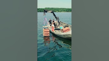 The world is your Oyster....