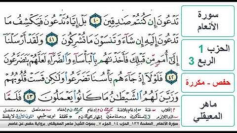 سورة الأنعام - الحزب 1 - الربع 3 - حفص - ماهر المعيقلي - مكررة
