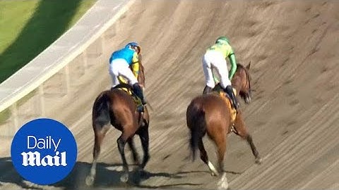 American Pharoah cruises to Haskell Invitational win - Daily Mail