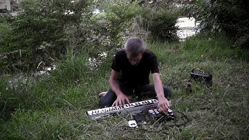 axoloti by the river