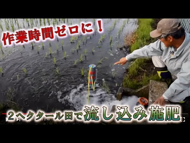 2ヘクタール田で流し込み施肥 作業時間ゼロに 全農 宮城県大崎市 Youtube 2ヘクタール田で流し込み施肥 作業時間ゼロに 全農 宮城県大崎市 Youtube