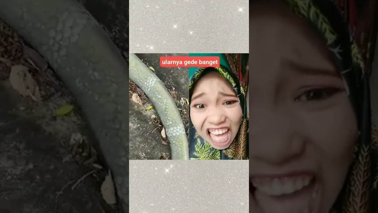 PENEMUAN PATUNG ULAR COBRA 😱😱