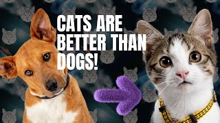 Why Cats Are Better Than Dogs by METARERM 390 views 10 months ago 3 minutes, 57 seconds