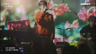 차우 𝐂𝐡𝐚𝐰𝐨𝐨 