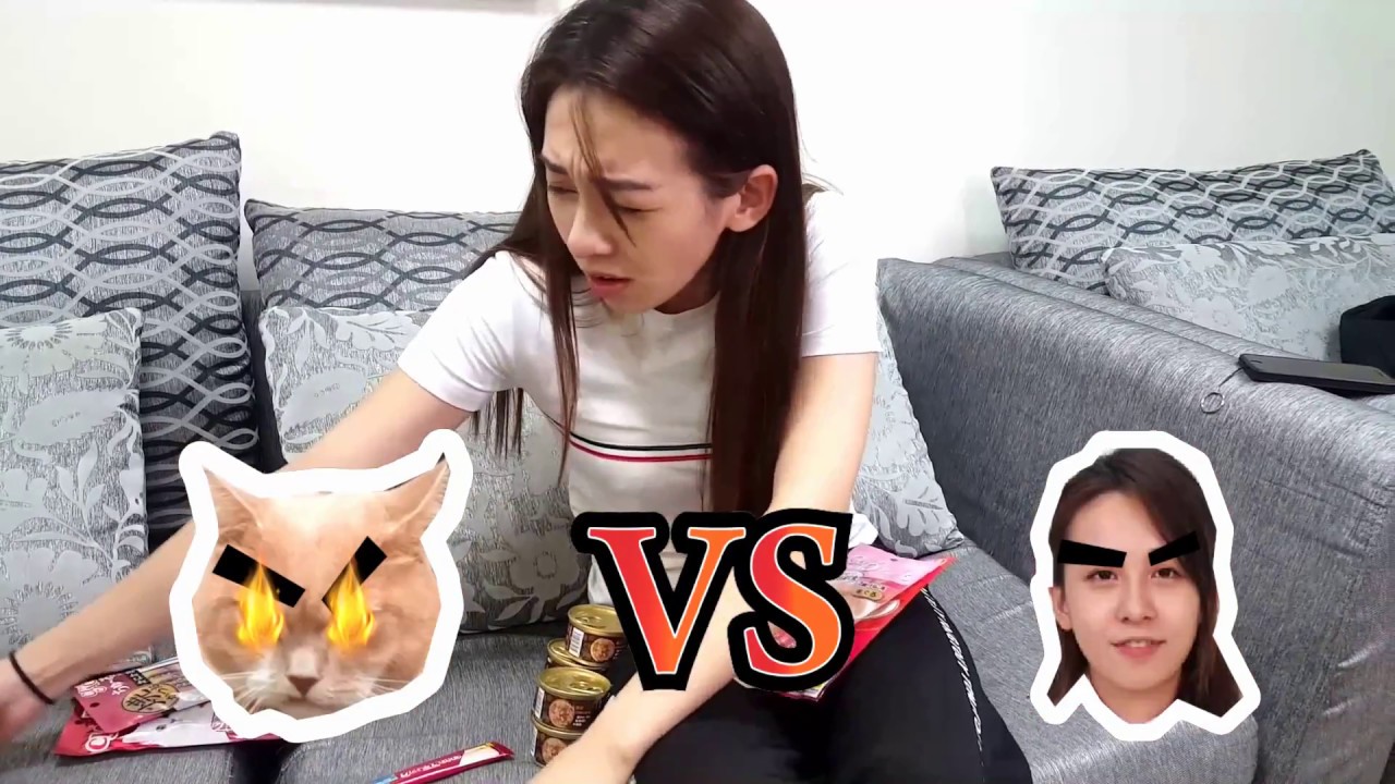 寵物 貓砂試用 鏟屎官初體驗 喵喵便所無粉塵貓砂 媽媽我想嫁去台南 四口新生活