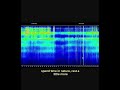 Schumann Resonance Today 🌿Update🔗 #theswissfrequency #schumannresonance #schumannresonanz #energy