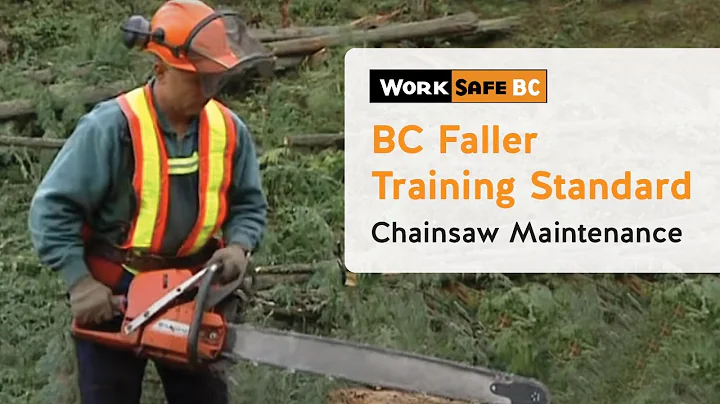 BC Faller Training Standard - Chainsaw Maintenance (3 of 17)