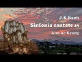 J.S. Bach - Sinfonia from Cantata BWV 29 / Aekyung Ahn