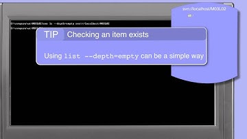 115_01-Subversion: list;browsing the repository