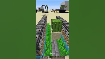 2 in 1 Sugarcane + Cactus Farm (Java 1.19)