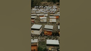 #القران #القرآن_الكريم#اكسبلور#سورة النحل الأية (٦٨-٦٩).