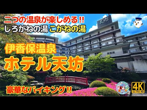 伊香保温泉『ホテル天坊』 豪華バイキングと白銀・黄金の２源泉を愉しむ伊香保最大級旅館‼