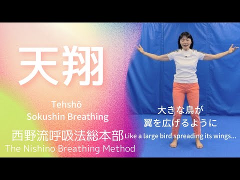 西野皓三 西野流呼吸法 身体知の誕生[ビデオ] The Nishino Breathing Method - YouTube