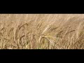 Accident T Jean Marc Herbreteau Feat Chris Hayward Accident T Jean Marc Herbreteau Feat Chris Hayward