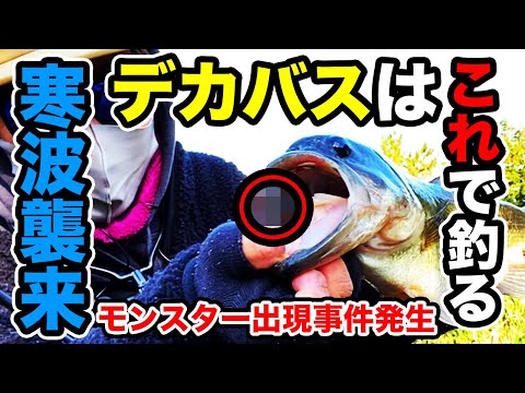 【冬のバス釣り】寒い時期にデカバスが釣れるルアーや使い方!!初場所モンスタービッグバス捕獲を見て満足してしまった【12月のバス釣り】