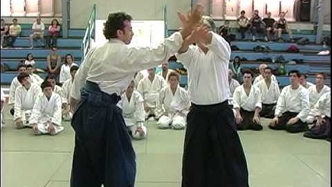Aikido Sensei Yoshimitsu Yamada Shihan - 2005 Chile, Santiago - Shomenuchi Shihonage #1