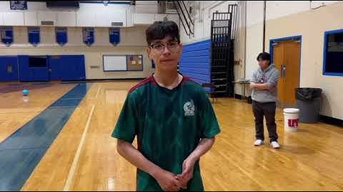 Elastic Collision Physics Project