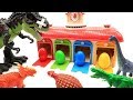 Color Dinosaur eggs. Dinosaur Battle in Jurassic World T Rex Fun Video - Dino Toys for Kids