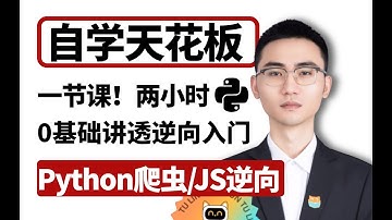 【很变态】但是...很有用的Python爬虫逆向进阶技巧！含：爬虫/APP/WEB/JS逆向/逆向算法/逆向混淆/逆向实战案例！