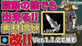 【ゼルダ ティアキン】Ver.1.1.2で出来る!!禁断のかんたん素材増殖進化形!! ダイヤもバクダン花でも何でも無限に!!この方法でいつでも好きな時に出来る様に纏めました バグ技裏技編