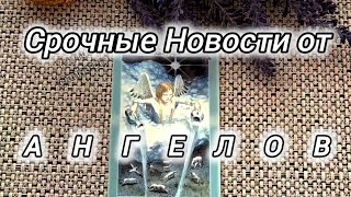 😇❗СРОЧНЫЕ НОВОСТИ ОТ ВАШИХ АНГЕЛОВ!..🍀♥️ Гадание Таро