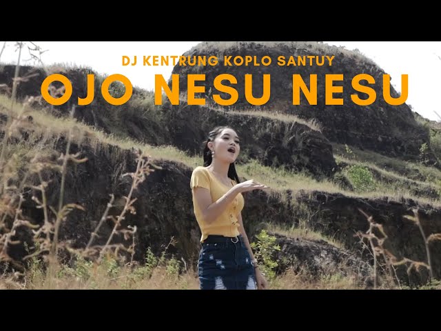 Safira Inema - Dj Ojo Nesu Nesu (Official Music Video ANEKA SAFARI) class=