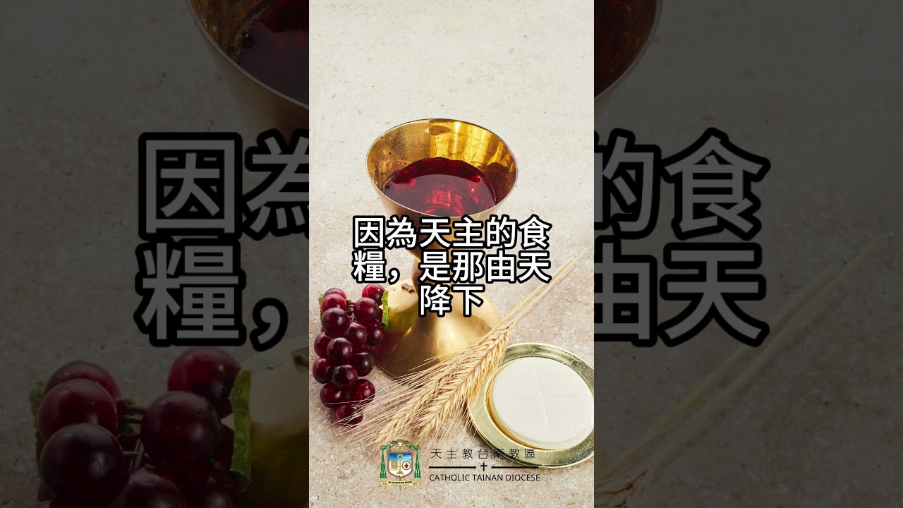 04/21  恭讀聖若望福音　6:30-35   不是梅瑟，而是我父現今賜給你們從天上來的真正食糧。