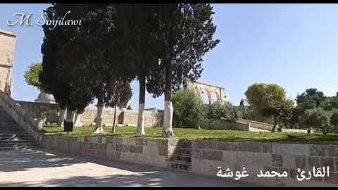 تلاوة هادئة عطرة خاشعة سورة النبأ - القارئ محمد غوشة - Suret An-Naba
