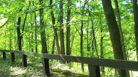 Hiking, camping Bash Bish Falls State Park Massachusetts Cascadas de Massachusetts Campamento,hiking