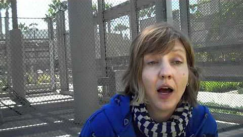 Allison Wiese  Barn Dance  Interview