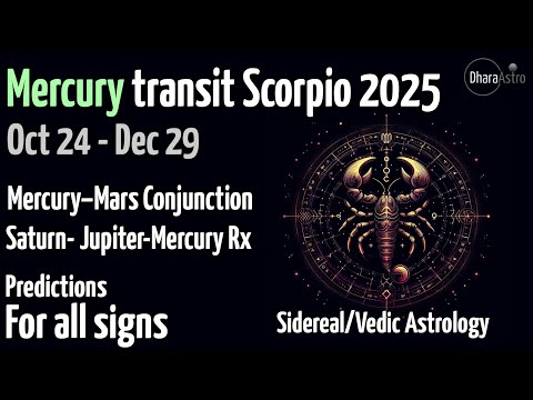     2025  24      