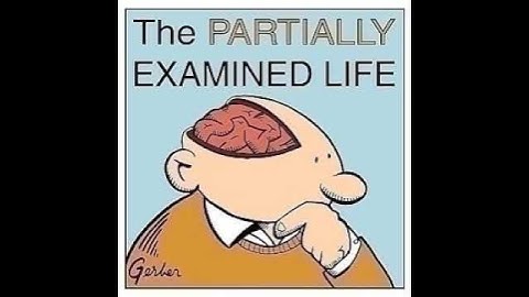 Partially Examined Life #224: Kierkegaard Critiques The Present Age (Part Two)