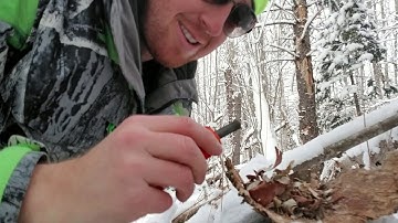 A quick guide to using a BlastMatch