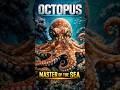 Octopus The Mastermind of the Sea