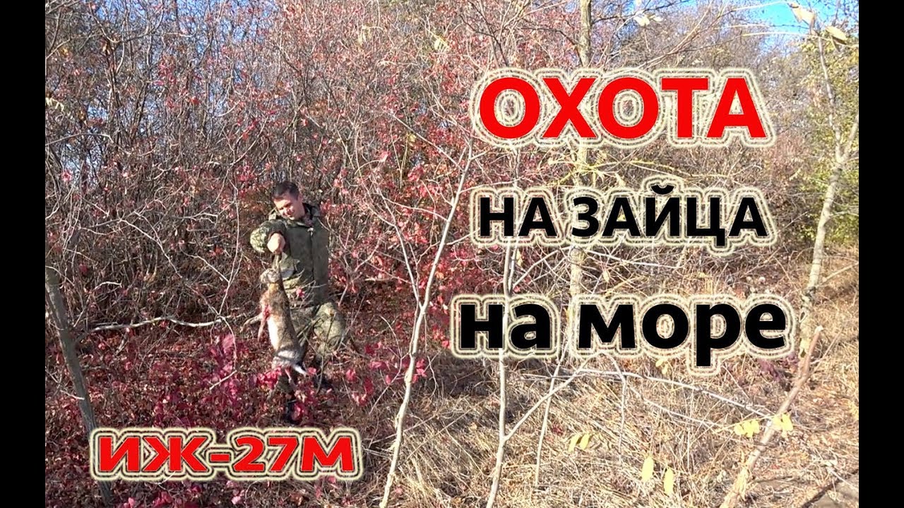 Магазин иж охота