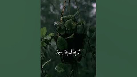 القارئ أنس المالك | من سورة الكهف