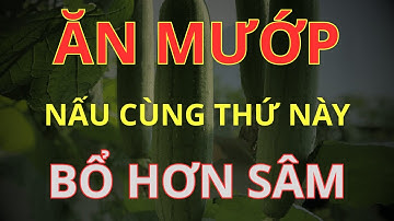 Bớt Cơm Đi, Buổi Tối Cứ Ăn Mướp Nấu Cùng Thứ Này – Sẽ NGỦ NGON, GAN, THẬN SẠCH ĐỘC, Khỏi XƯƠNG KHỚP