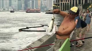 Catching big fish in Victoria Harbour Hong Kong