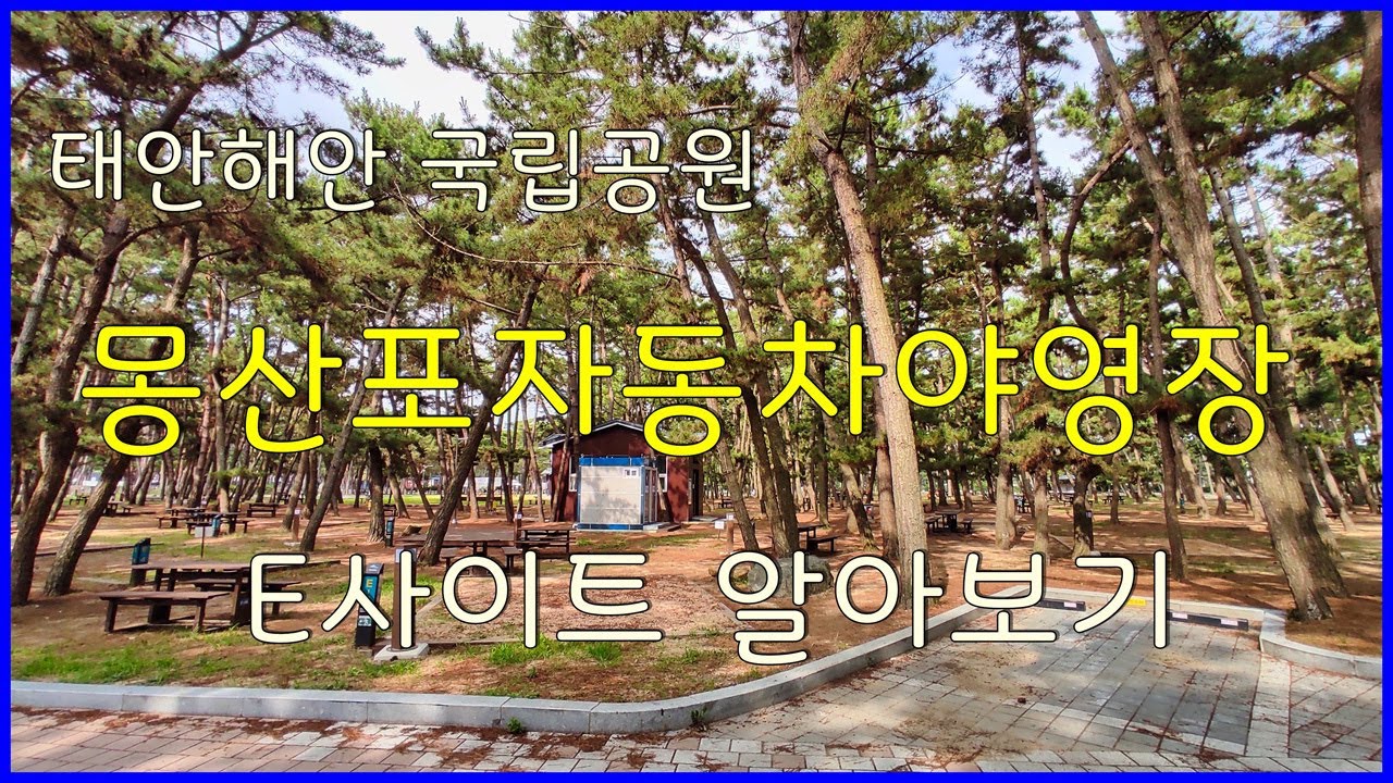 태안해안 국립공원 몽산포 자동차야영장 E영지 사이트 알아보기 - Youtube